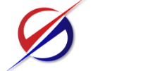 Dynamic Security Services Logo